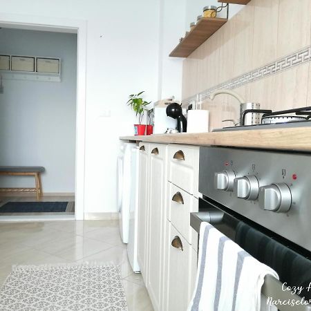 Cozy Apartment Narciselor Suceava Ipotesti  Buitenkant foto