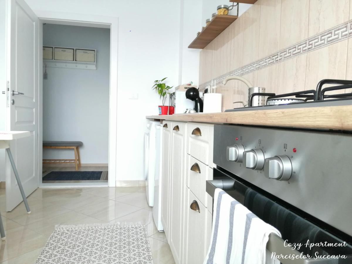 Cozy Apartment Narciselor Suceava Ipotesti  Buitenkant foto