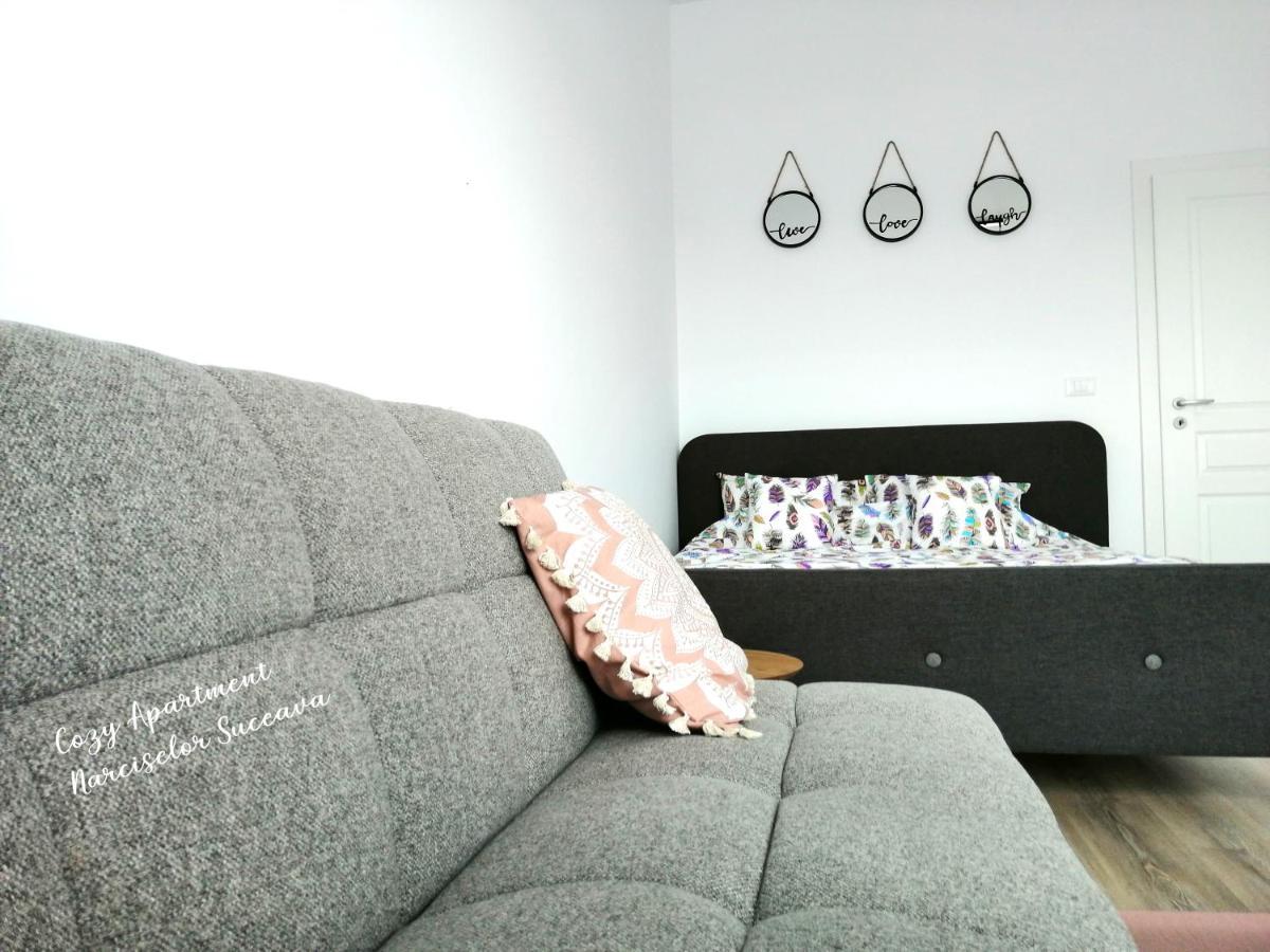 Cozy Apartment Narciselor Suceava Ipotesti  Buitenkant foto