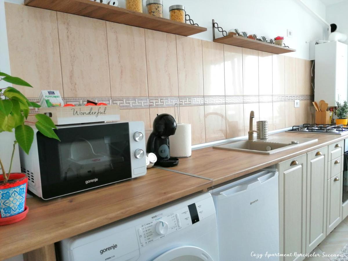 Cozy Apartment Narciselor Suceava Ipotesti  Buitenkant foto