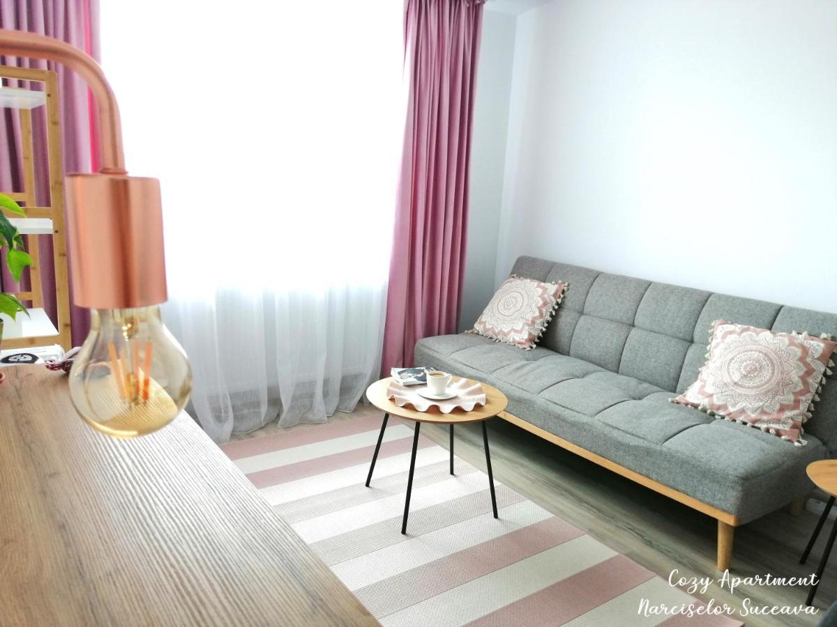 Cozy Apartment Narciselor Suceava Ipotesti  Buitenkant foto