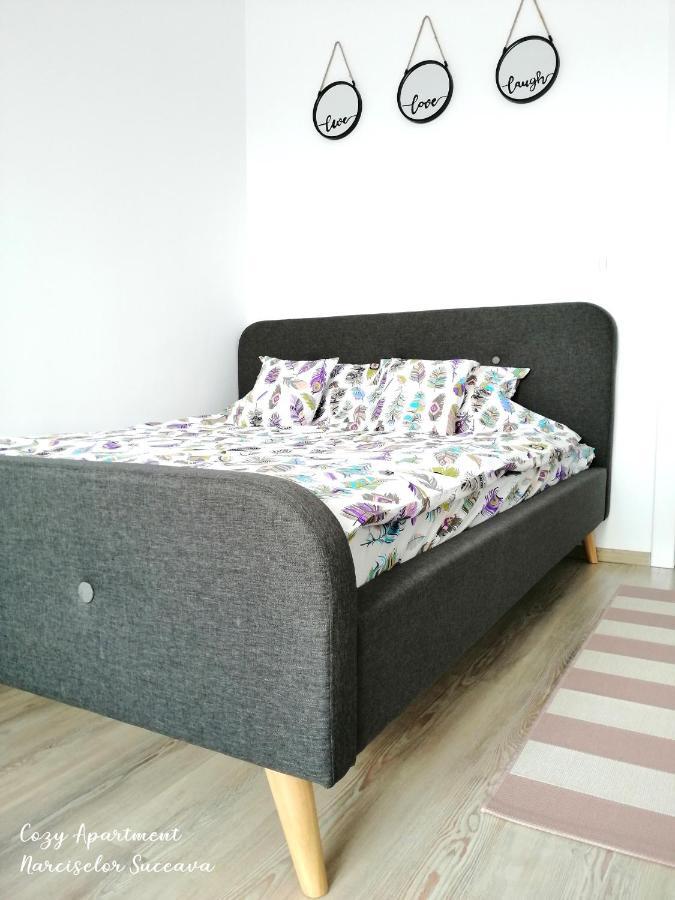 Cozy Apartment Narciselor Suceava Ipotesti  Buitenkant foto