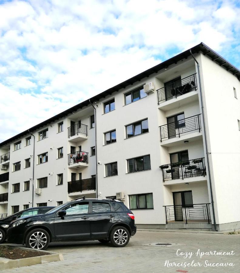Cozy Apartment Narciselor Suceava Ipotesti  Buitenkant foto